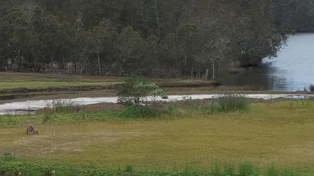 Tabourie Lake Motor Inn מראה חיצוני תמונה